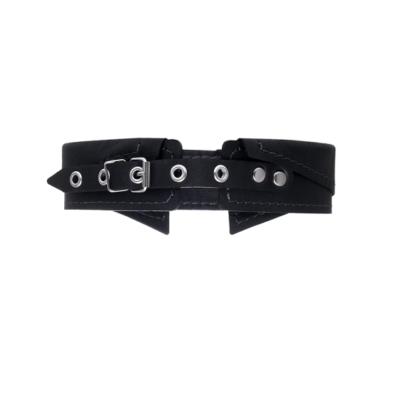 Ошейник-воротник Pecado с поводком